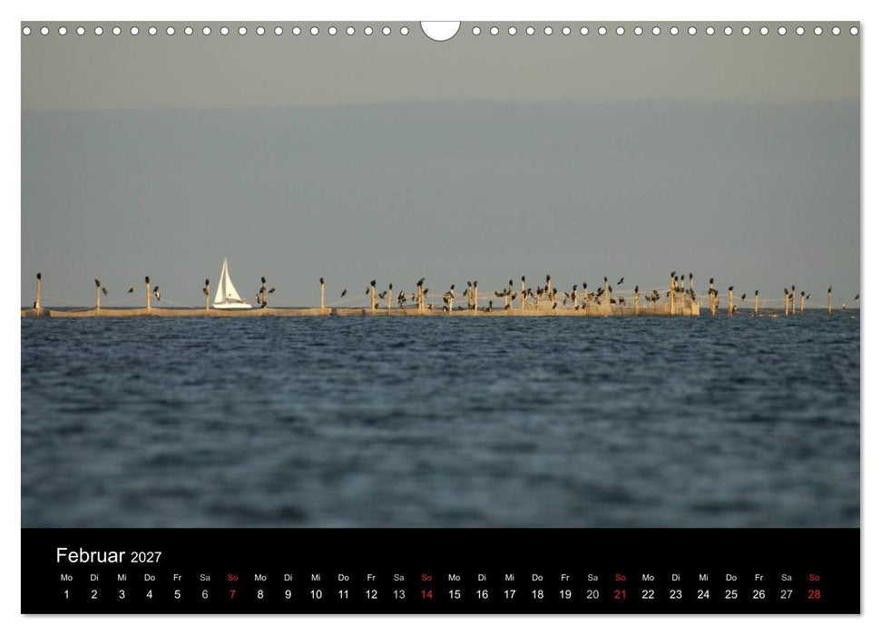 Wasserwandern in Mecklenburg-Vorpommern (CALVENDO Wandkalender 2027)