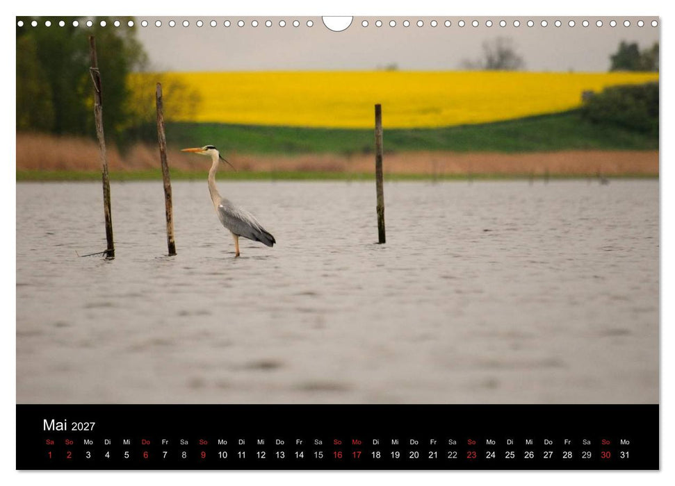 Wasserwandern in Mecklenburg-Vorpommern (CALVENDO Wandkalender 2027)