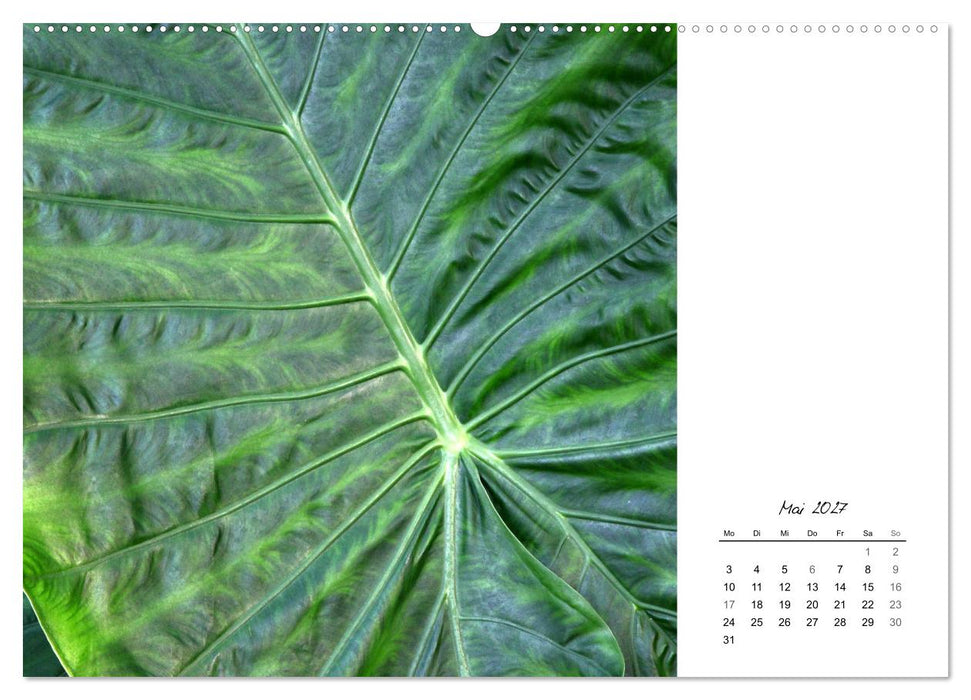 Blattkunst (CALVENDO Wandkalender 2027)