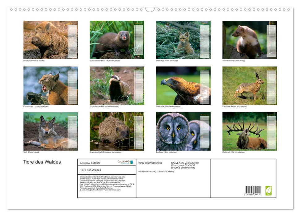 Tiere des Waldes (CALVENDO Wandkalender 2027)