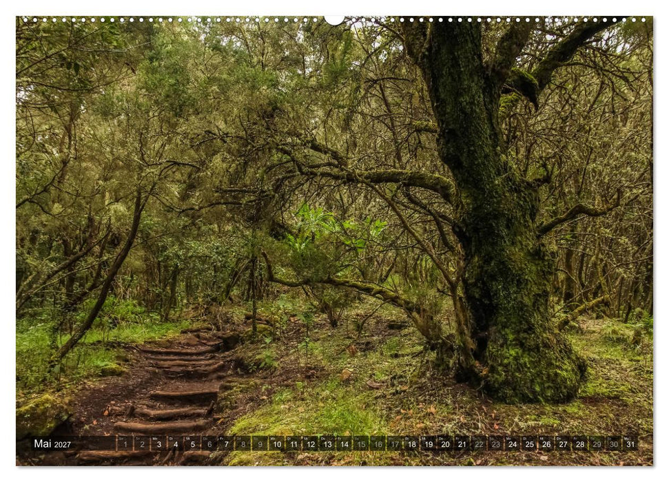 La Gomera 2027 - Eine Entdeckungsreise (CALVENDO Wandkalender 2027)