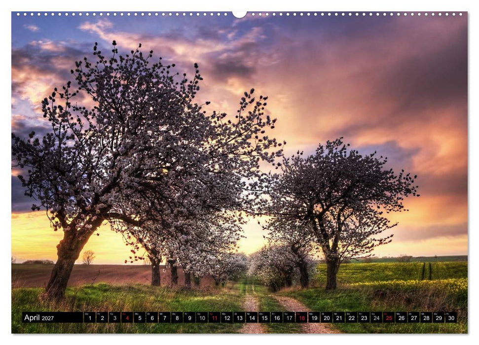 Zauberhafter Harz (CALVENDO Premium Wandkalender 2027)