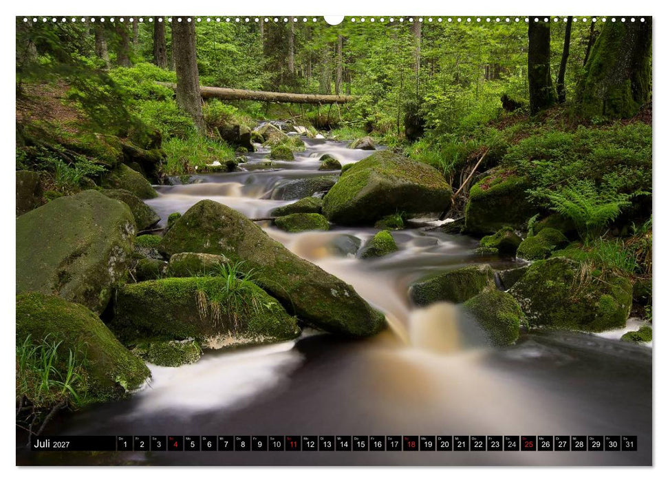 Zauberhafter Harz (CALVENDO Premium Wandkalender 2027)