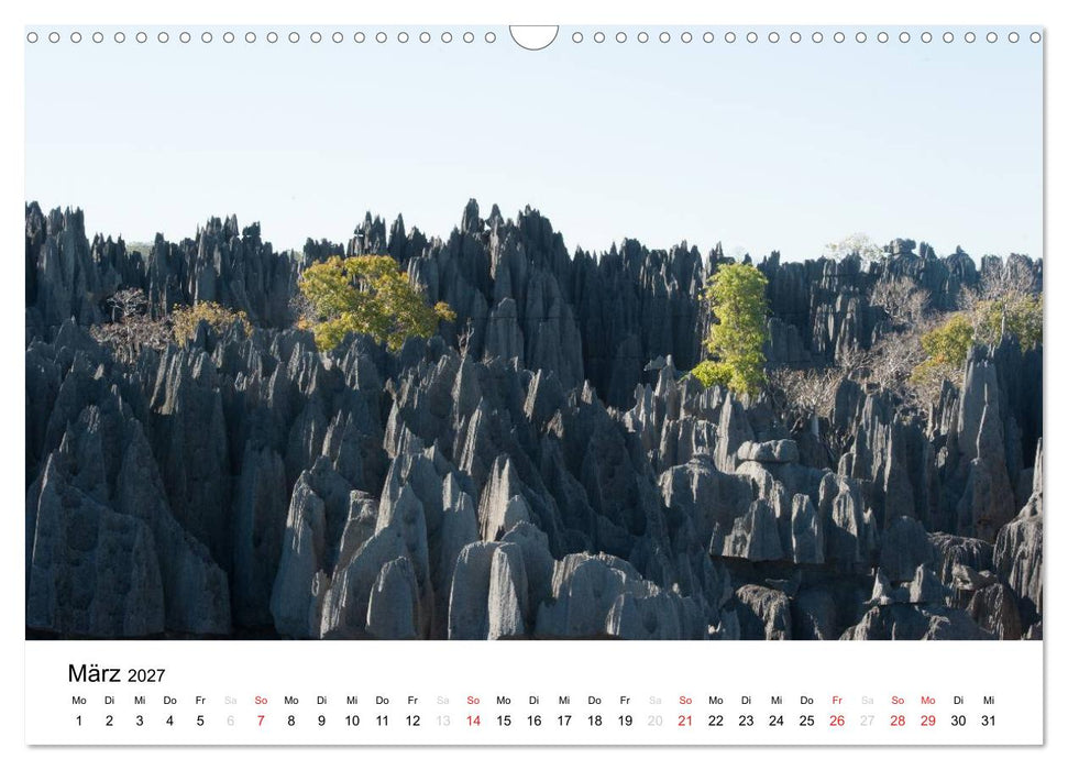 Traumwelt Madagaskar (CALVENDO Wandkalender 2027)