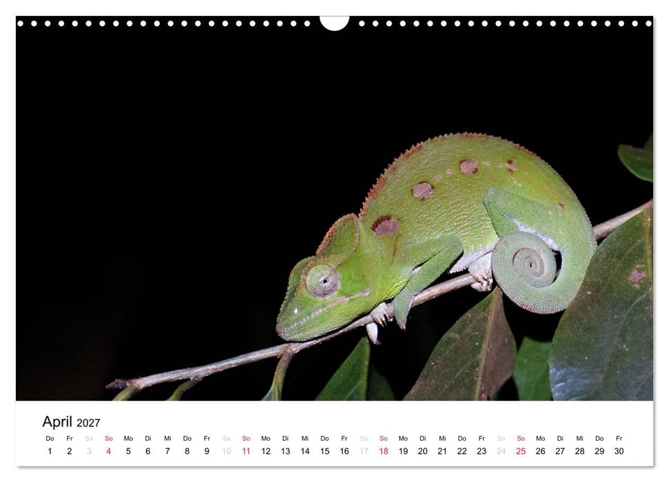 Traumwelt Madagaskar (CALVENDO Wandkalender 2027)