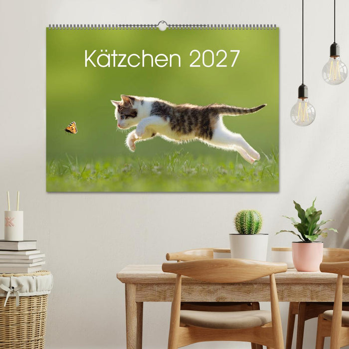 Kätzchen 2027 (CALVENDO Wandkalender 2027)