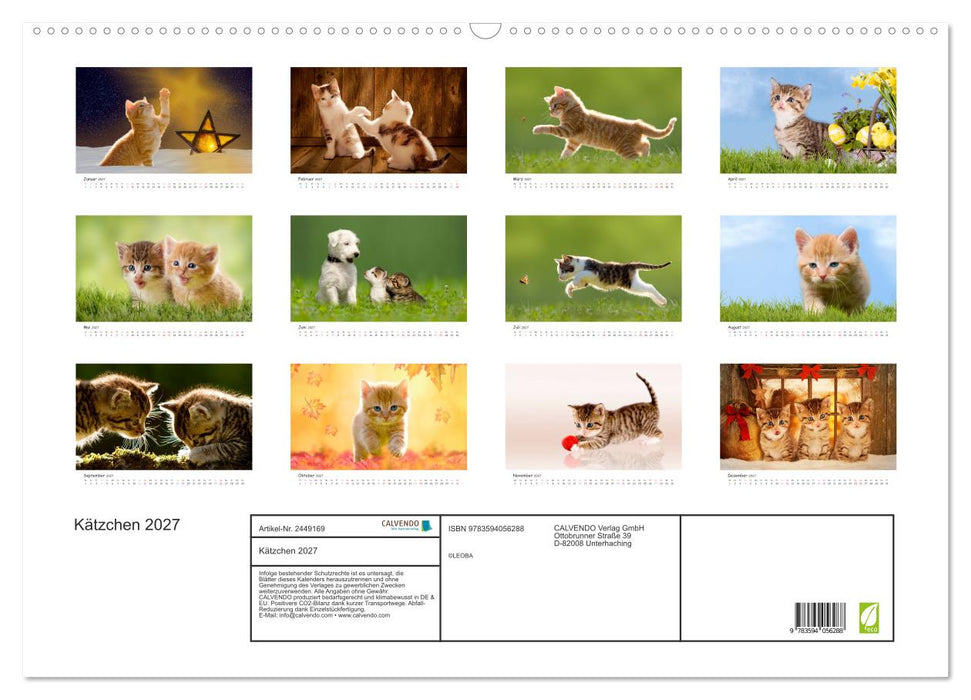 Kätzchen 2027 (CALVENDO Wandkalender 2027)