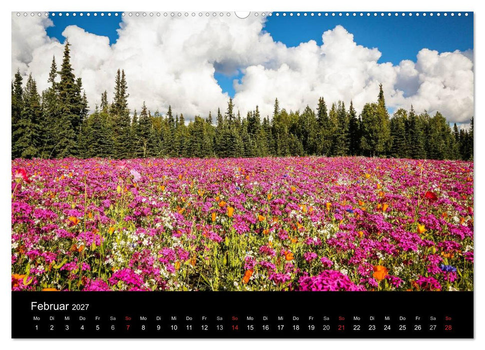 Alaska 2027 Wildes Land am Ende der Welt (CALVENDO Premium Wandkalender 2027)