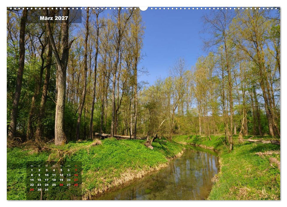 Zauberhafte Waldlandschaften (CALVENDO Premium Wandkalender 2027)