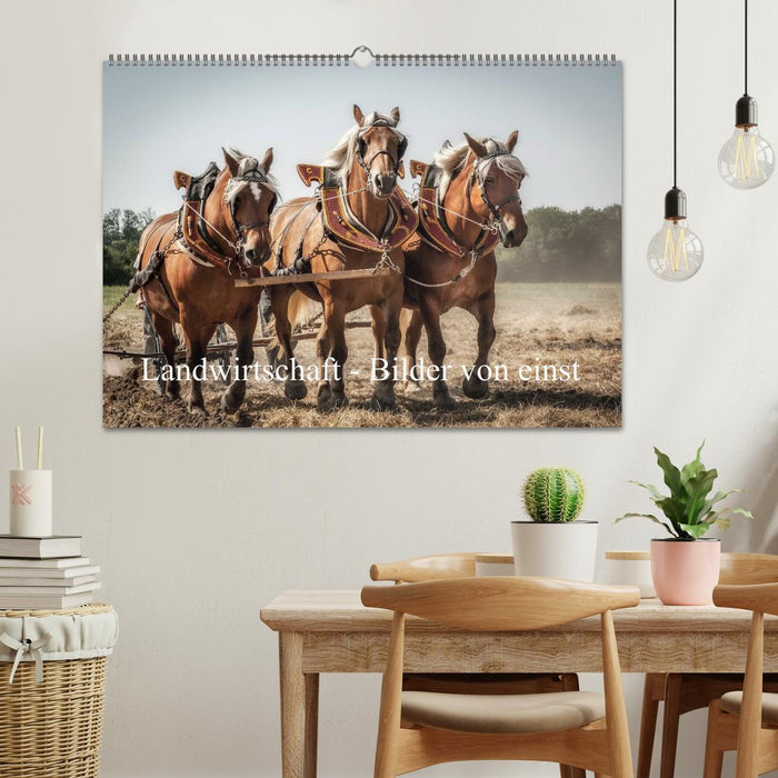 Landwirtschaft - Bilder von einst (CALVENDO Wandkalender 2027)