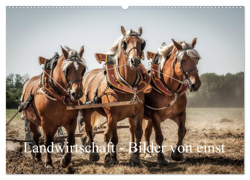 Landwirtschaft - Bilder von einst (CALVENDO Wandkalender 2027)