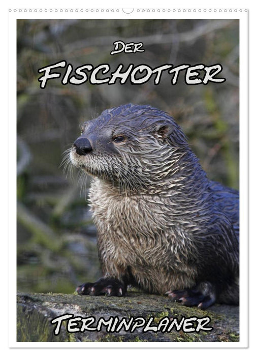 Der Fischotter-Terminplaner (CALVENDO Wandkalender 2027)