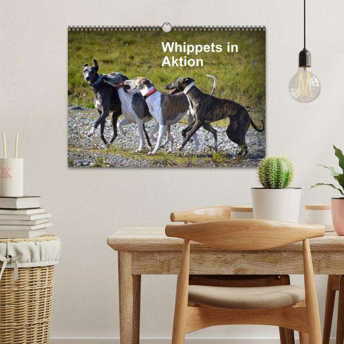 Whippets in Aktion (CALVENDO Wandkalender 2027)