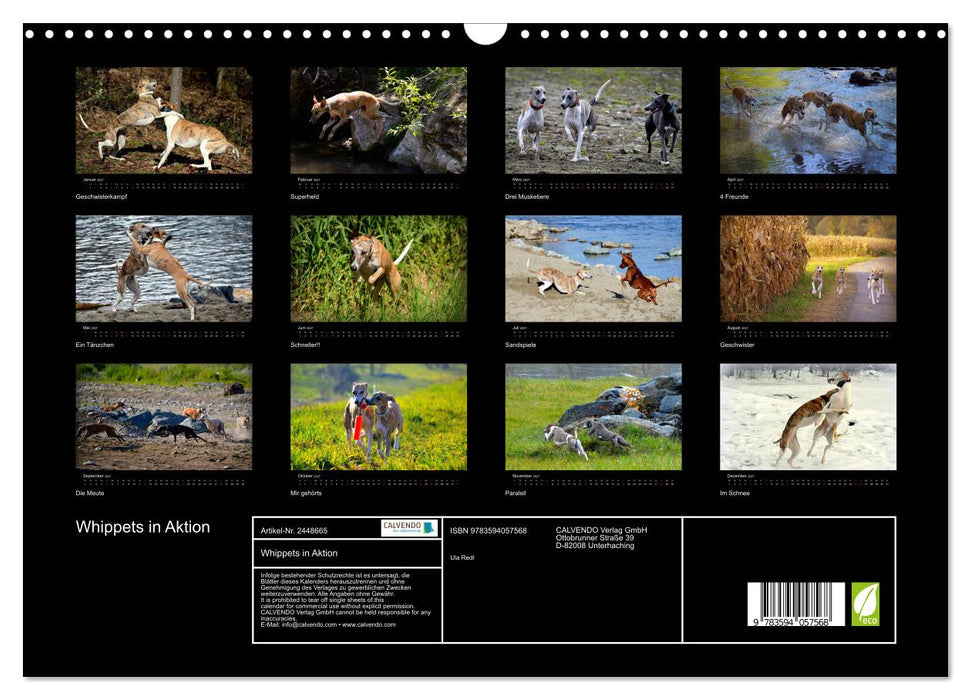 Whippets in Aktion (CALVENDO Wandkalender 2027)