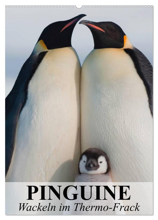 Pinguine - Wackeln im Thermo-Frack (CALVENDO Wandkalender 2027)