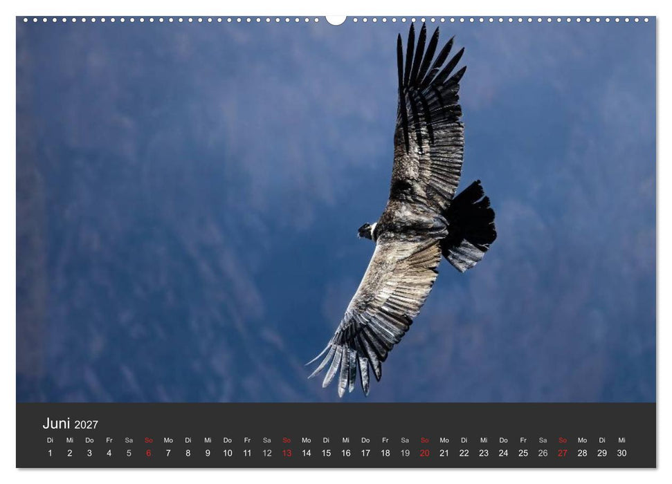 Peru 2027 Im Land des Kondors (CALVENDO Wandkalender 2027)