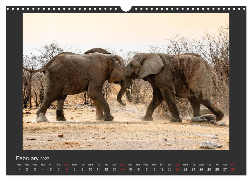 Namibia's Nature (CALVENDO Monthly Calendar 2027)