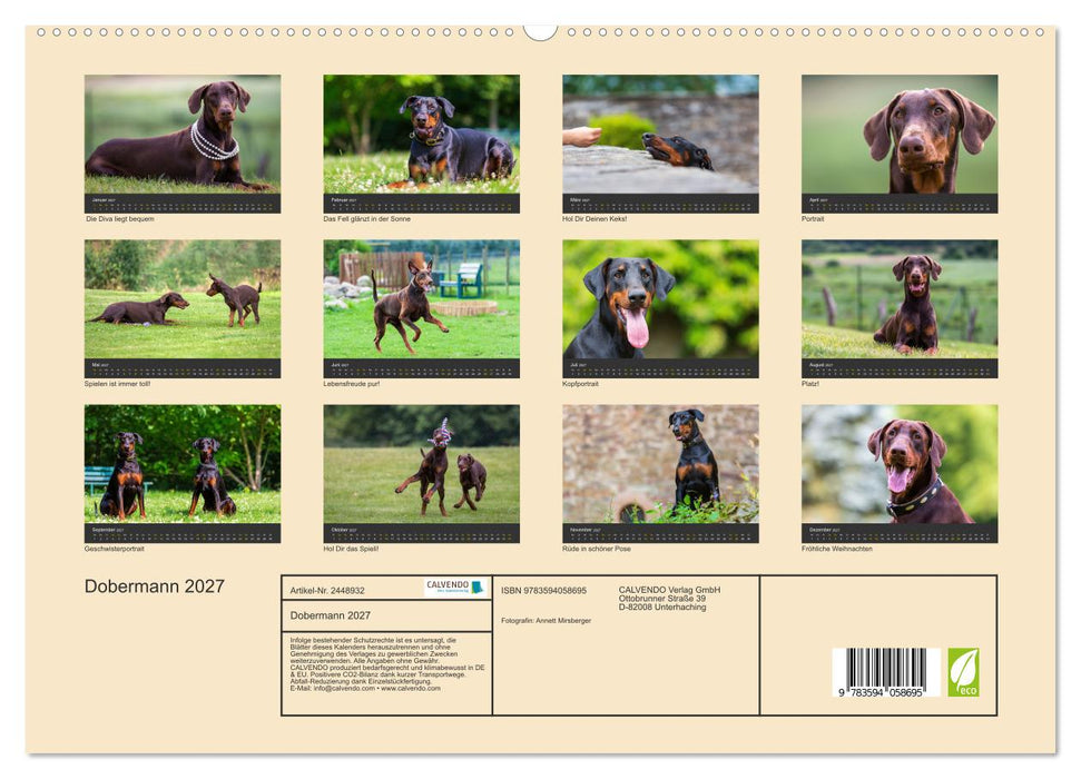 Dobermann 2027 (CALVENDO Premium Wandkalender 2027)
