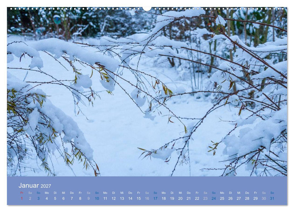 Gartenflüstern (CALVENDO Premium Wandkalender 2027)