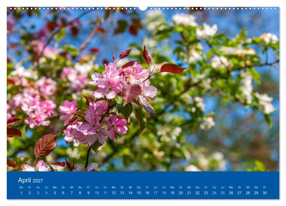 Gartenflüstern (CALVENDO Premium Wandkalender 2027)