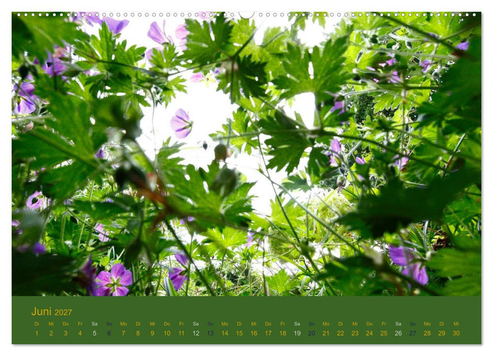 Gartenflüstern (CALVENDO Premium Wandkalender 2027)
