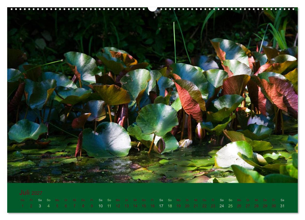 Gartenflüstern (CALVENDO Premium Wandkalender 2027)