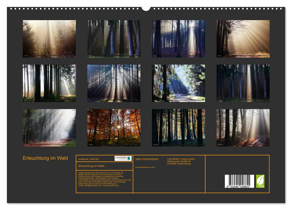 Erleuchtung im Wald (CALVENDO Premium Wandkalender 2027)