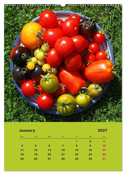 Organic Tomatoes (CALVENDO Premium-Calendar 2027)