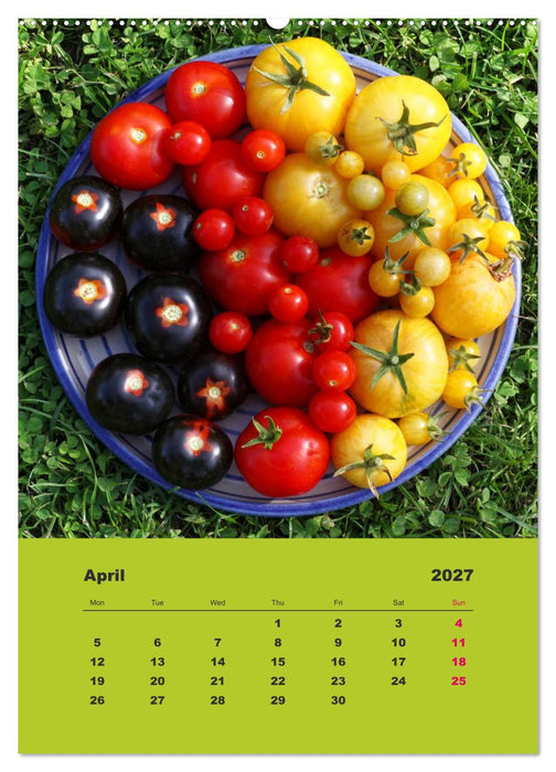 Organic Tomatoes (CALVENDO Premium-Calendar 2027)