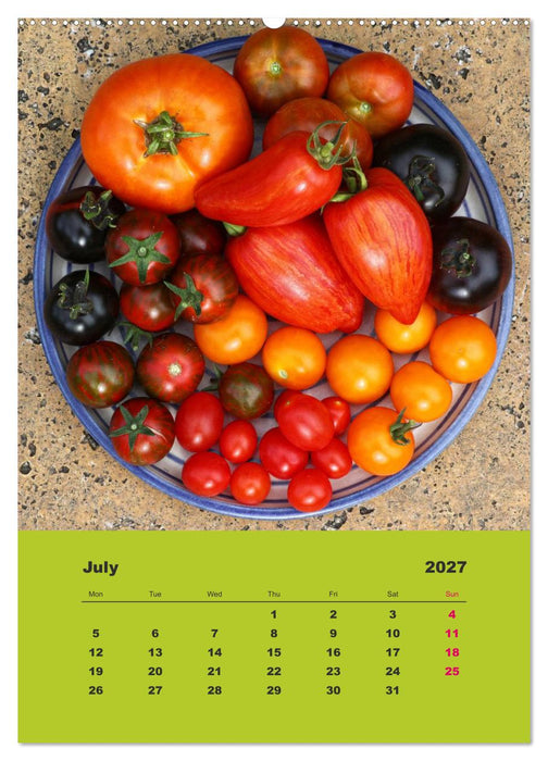 Organic Tomatoes (CALVENDO Premium-Calendar 2027)