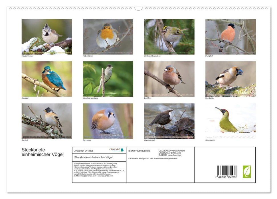 Steckbriefe einheimischer Vögel (CALVENDO Premium Wandkalender 2027)