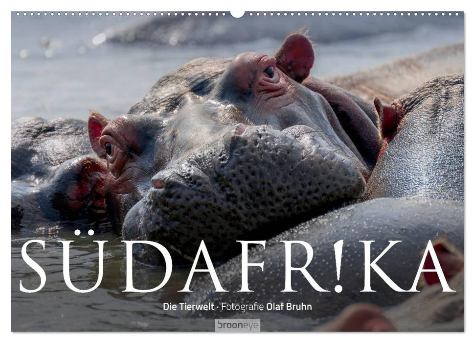 Südafrika - Die Tierwelt (CALVENDO Wandkalender 2027)