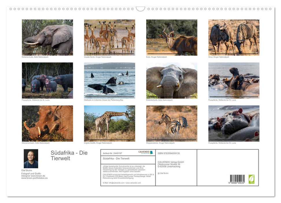 Südafrika - Die Tierwelt (CALVENDO Wandkalender 2027)