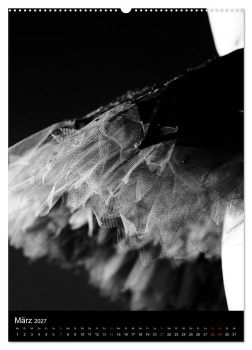 Ballett Schwarzweiss (CALVENDO Premium Wandkalender 2027)