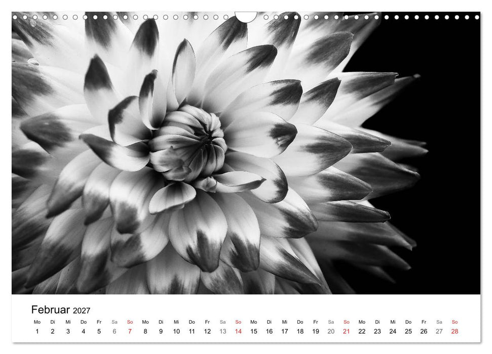 Blumen 2027, Schwarz-Weiß (CALVENDO Wandkalender 2027)