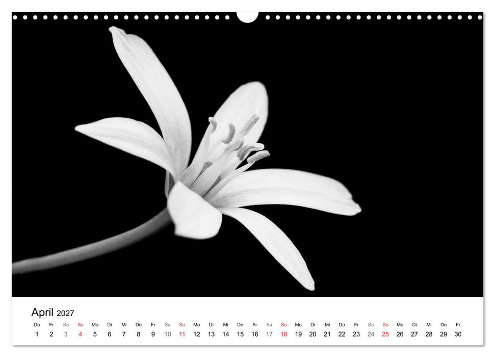 Blumen 2027, Schwarz-Weiß (CALVENDO Wandkalender 2027)