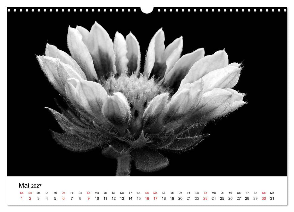 Blumen 2027, Schwarz-Weiß (CALVENDO Wandkalender 2027)