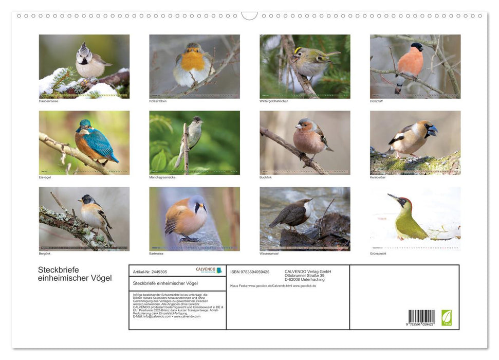 Steckbriefe einheimischer Vögel (CALVENDO Wandkalender 2027)