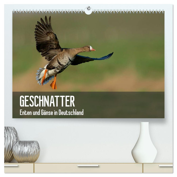 Geschnatter - Enten und Gänse in Deutschland (CALVENDO Premium Wandkalender 2027)