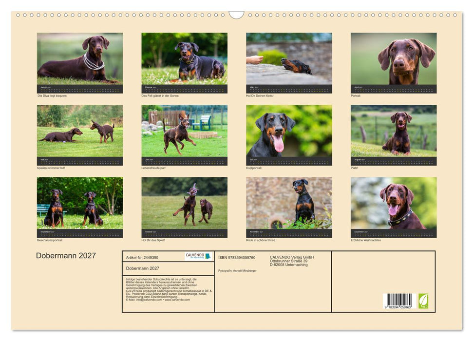 Dobermann 2027 (CALVENDO Wandkalender 2027)