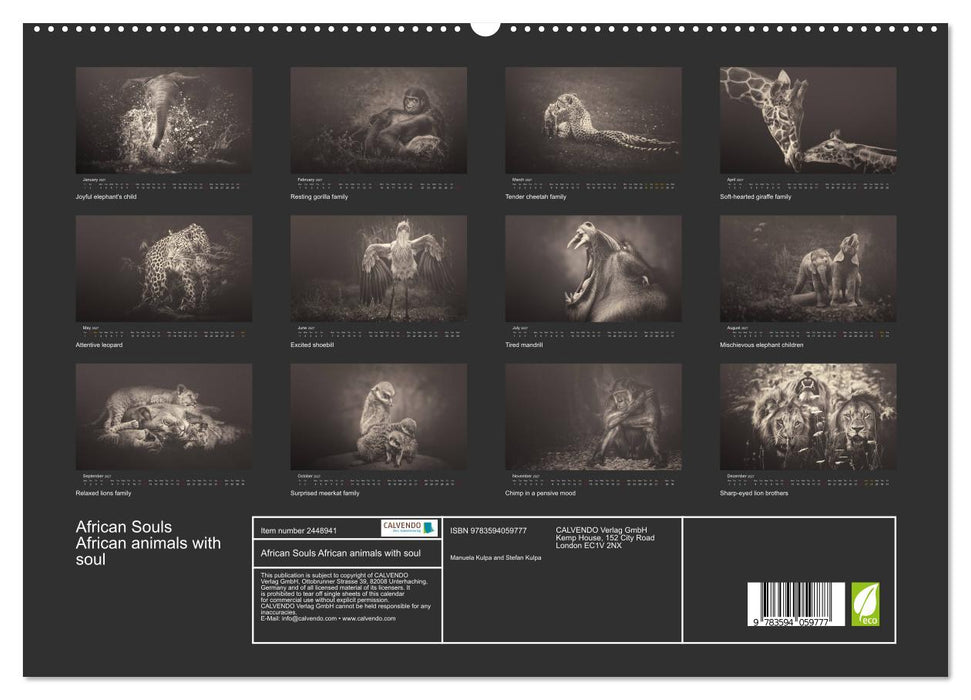 African Souls African animals with soul (CALVENDO Premium-Calendar 2027)