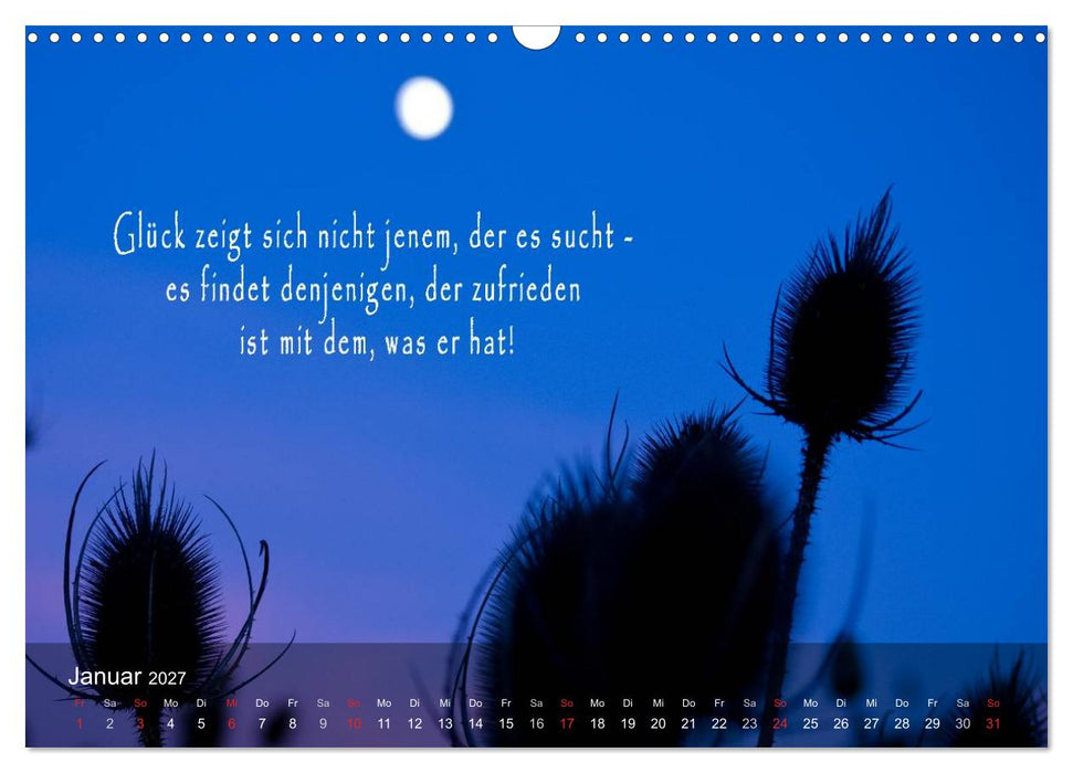 wunderschöne Lichtmomente (CALVENDO Wandkalender 2027)