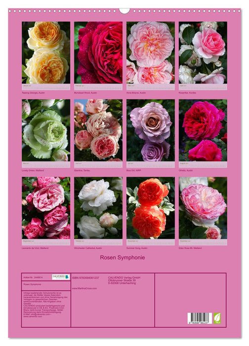 Rosen Symphonie (CALVENDO Wandkalender 2027)