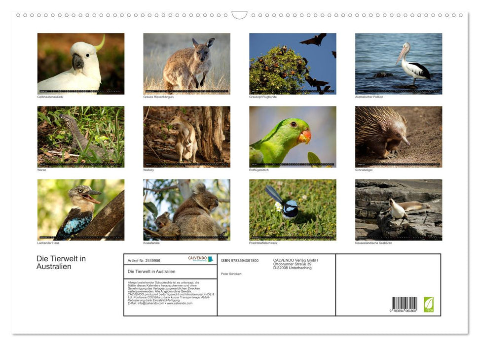 Die Tierwelt in Australien (CALVENDO Wandkalender 2027)