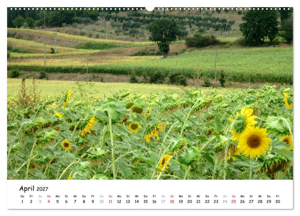 Camino di Assisi - Franziskusweg (CALVENDO Wandkalender 2027)