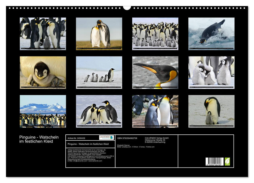 Pinguine - Watscheln im festlichen Kleid (CALVENDO Wandkalender 2027)