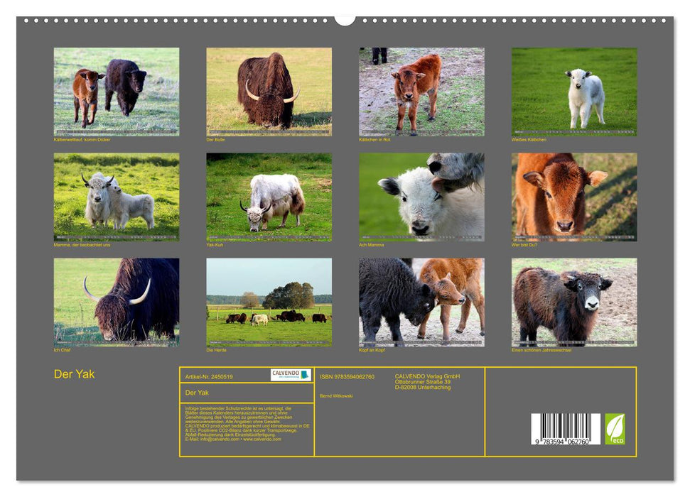 Der Yak (CALVENDO Premium Wandkalender 2027)