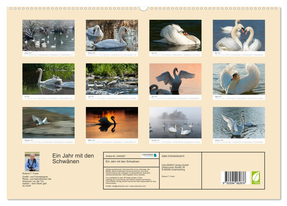 Ein Jahr mit den Schwänen (CALVENDO Premium Wandkalender 2027)