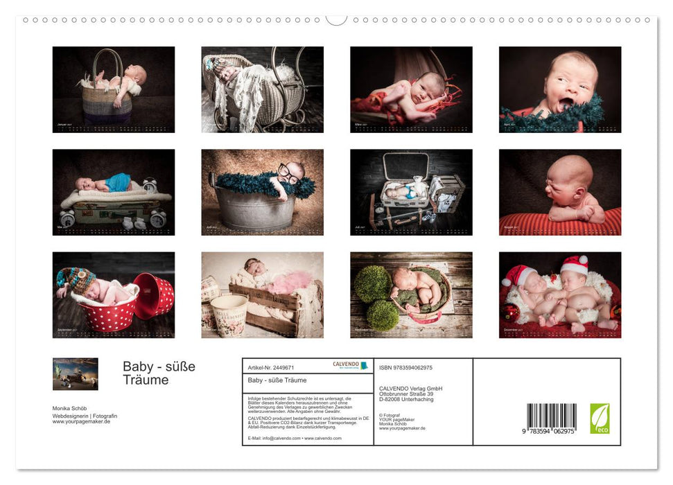 Baby - süße Träume (CALVENDO Premium Wandkalender 2027)