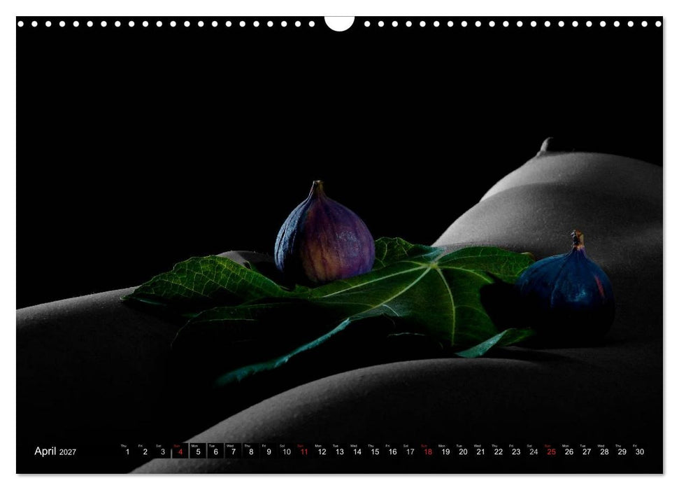 Fruit Nudes (CALVENDO Monthly Calendar 2027)